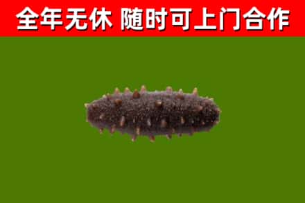 武汉烟酒回收干海参.jpg